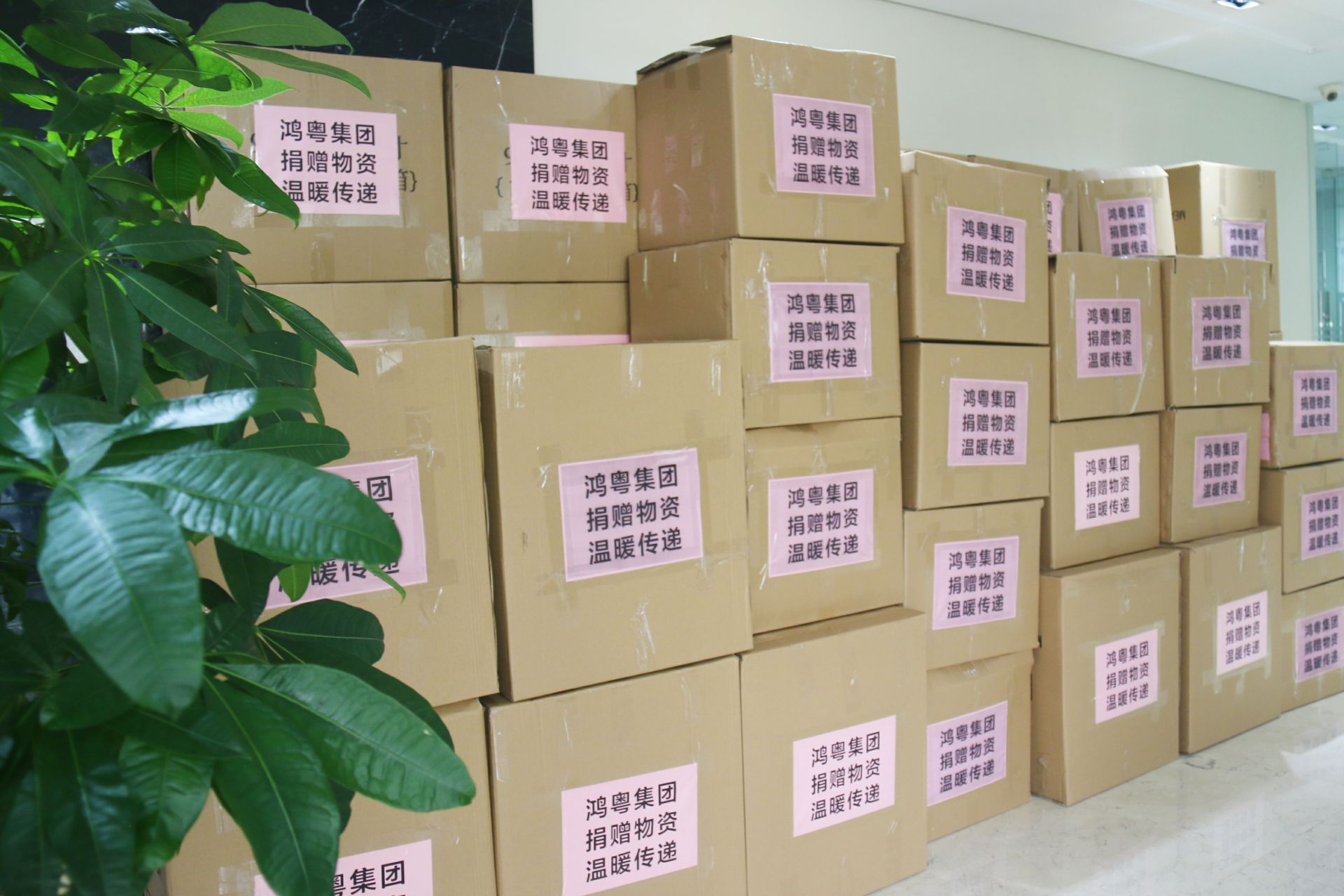 九游·官方站网页版-九游(中国)公益回顾丨家国同欢月同圆 温暖满载甘孜州(图1) 九游·官方站网页版-九游(中国)公益回顾丨家国同欢月同圆 温暖满载甘孜州(图1)